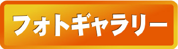 �z�e�������ߊكt�H�g�M�������[